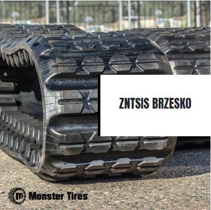 Zntsis Brzesko