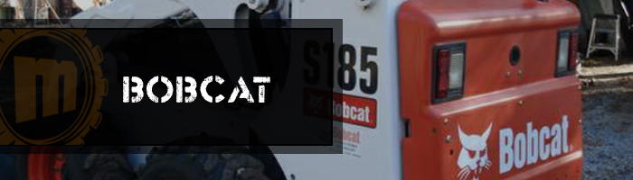 Bobcat Tires